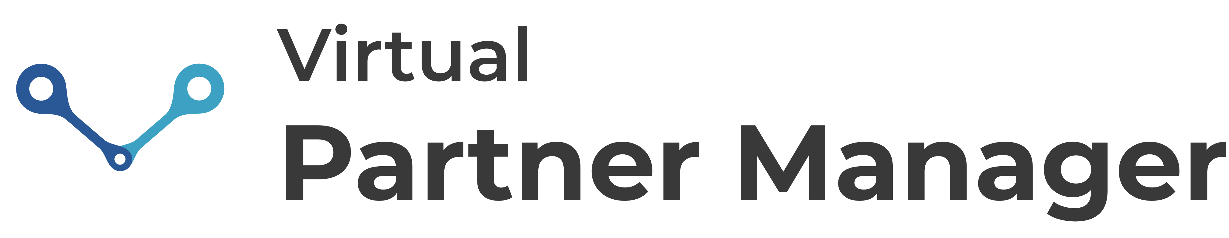 VPM Logo